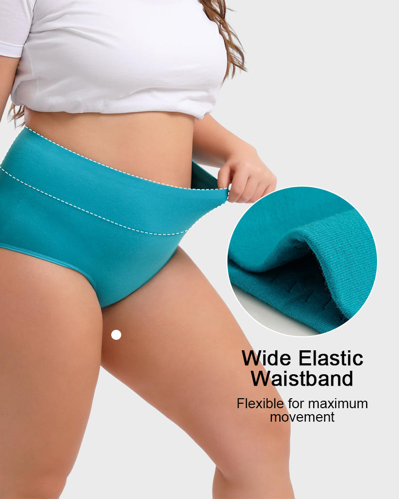 Women's Plus Size Cotton High Waisted Briefs 4-Pack